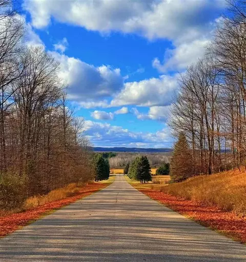 10 Mount Vernon Hills Dr #2.06, Vanderbilt, MI 49795