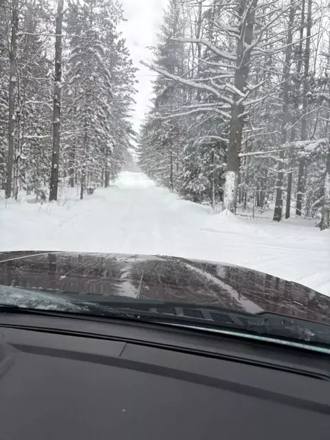 95 Trillium Trl, Wolverine, MI 49799 photo 26