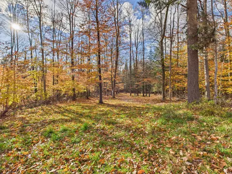 95 Trillium Trl, Wolverine, MI 49799 photo 21