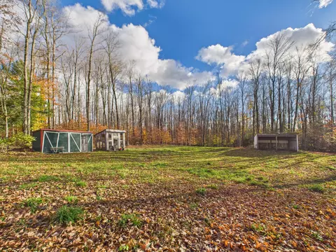 95 Trillium Trl, Wolverine, MI 49799 photo 18