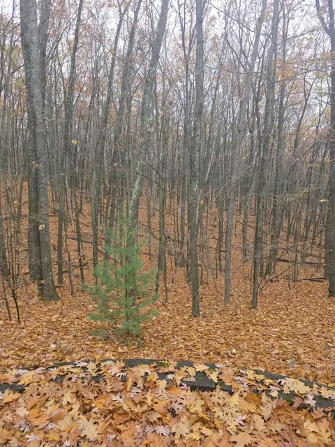411 Peach Rd, Roscommon, MI 48653 photo 25