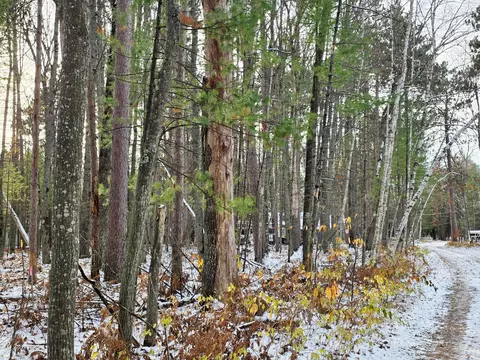 lot18 Kingsley Ln, Grayling, MI 49738