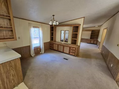 Living - 156 N Dip Dr, Mio, MI 48647 photo 4 of 11