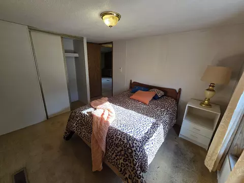 Bedroom - 156 N Dip Dr, Mio, MI 48647 photo 2 of 6