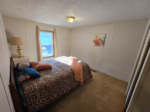 Bedroom - 156 N Dip Dr, Mio, MI 48647 photo 1 of 6