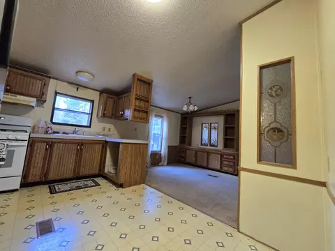 Living - 156 N Dip Dr, Mio, MI 48647 photo 3 of 11