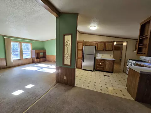 Living - 156 N Dip Dr, Mio, MI 48647 photo 6 of 11