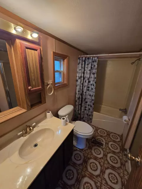 Bath - 156 N Dip Dr, Mio, MI 48647 photo 3 of 4
