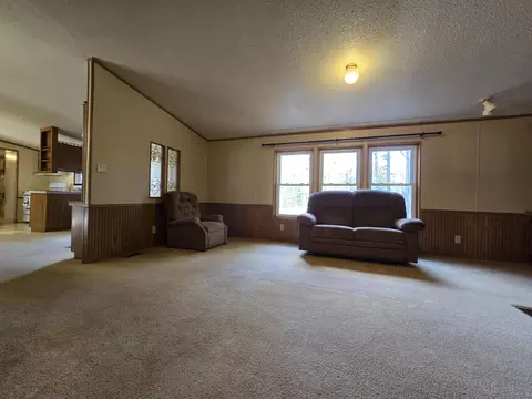 Living - 156 N Dip Dr, Mio, MI 48647 photo 11 of 11