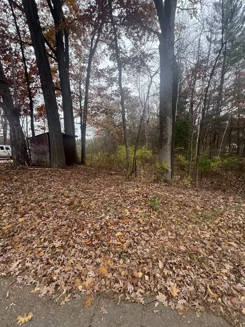 V/L 0.25A Main Street #PARCEL  10-113-250-10, Wellston, MI 49689