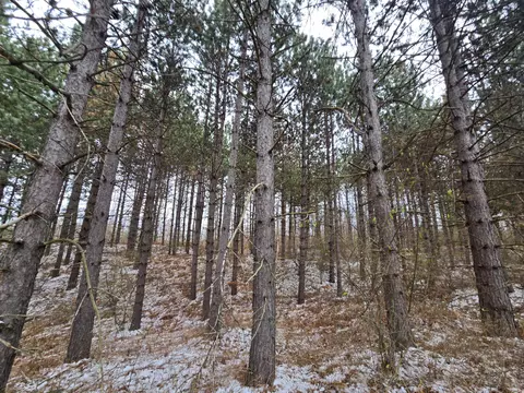Other - 1434 Rogers Road Rd, Fairview, MI 48621 photo 29 of 37