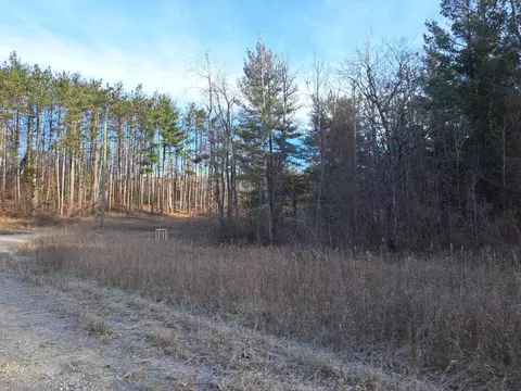 V/L Devolder Road #4.53, Elmira, MI 49730