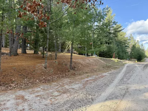16606 Riverline Dr, Wolverine, MI 49799 photo 4