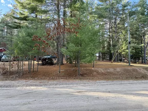 16606 Riverline Dr, Wolverine, MI 49799
