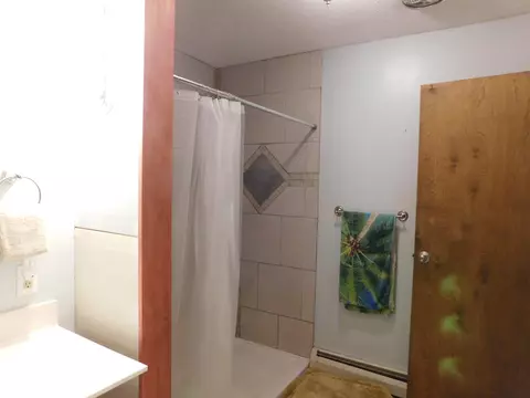 Bath - 6110 Alex Rd, Grayling, MI 49738 photo 2 of 3