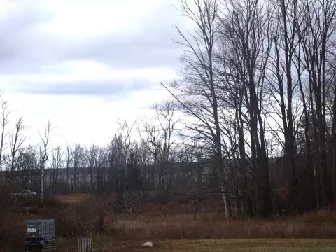 2327 Mcmichael Rd #PARCEL F, Alanson, MI 49706 photo 4