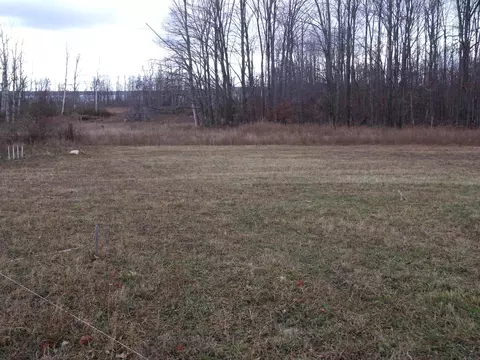 2327 Mcmichael Rd #PARCEL F, Alanson, MI 49706 photo 7