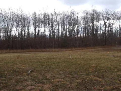 2327 Mcmichael Rd #PARCEL F, Alanson, MI 49706 photo 6