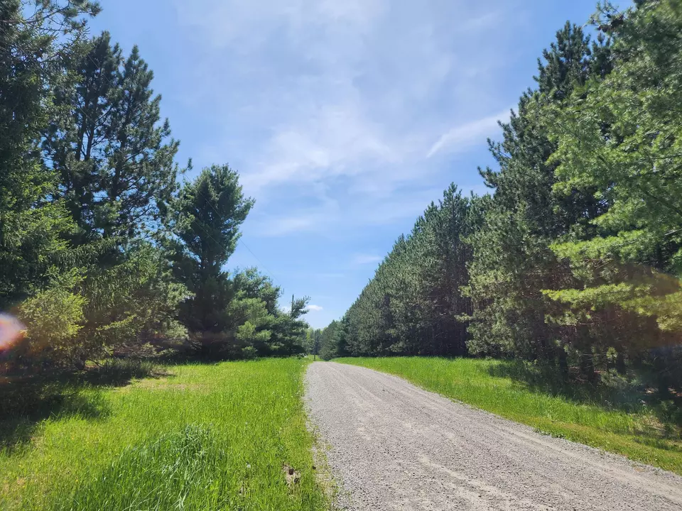 Parcel S Mccollum Lk Road, Curran, MI 48728 | MLS# 201838110 | 58 ...