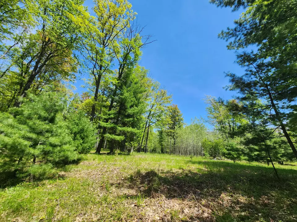Parcel S Mccollum Lk Road, Curran, MI 48728 | MLS# 201838110 | 58 ...