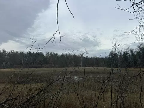 4810 Tote Rd, Comins, MI 48619