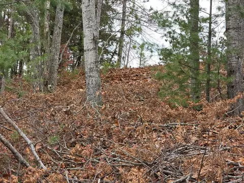 V/L 0.25AC Lost Lake Road #0.25 ACRES, Hawks, MI 49743 photo 4