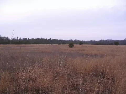 Parcel 13 N M-18, Roscommon, MI 48653
