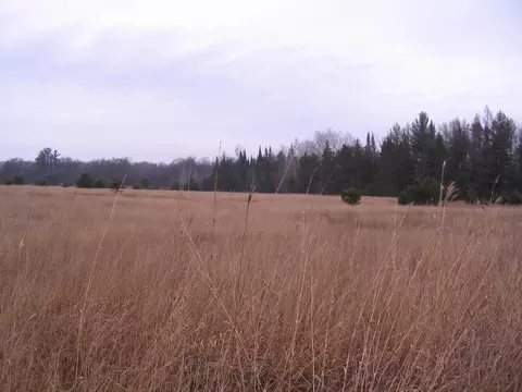Parcel 14 N M-18, Roscommon, MI 48653