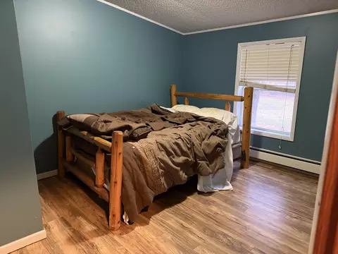 765 Mcgregor Rd, Vanderbilt, MI 49795 photo 16