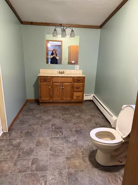 765 Mcgregor Rd, Vanderbilt, MI 49795 photo 20