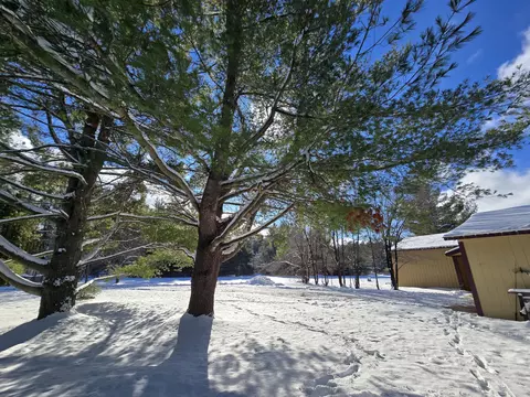 Exterior - 435 N Mount Tom Rd, Mio, MI 48647 photo 22 of 32