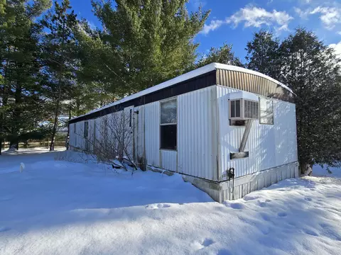 Exterior - 435 N Mount Tom Rd, Mio, MI 48647 photo 28 of 32
