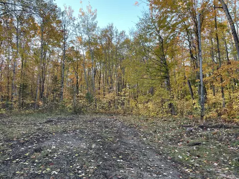 14290 Sandown Ct #LOT 279, Cheboygan, MI 49721