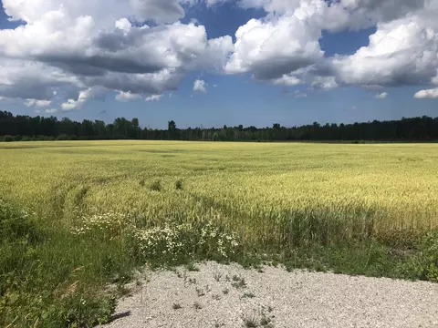 V/L 40AC Long Rapids Road #40 ACRES, Lachine, MI 49753