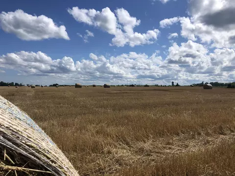 V/L 40AC Long Rapids Road #40 ACRES, Lachine, MI 49753 photo 4