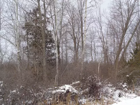 V/L 40AC Long Rapids Road #40 ACRES, Lachine, MI 49753 photo 7