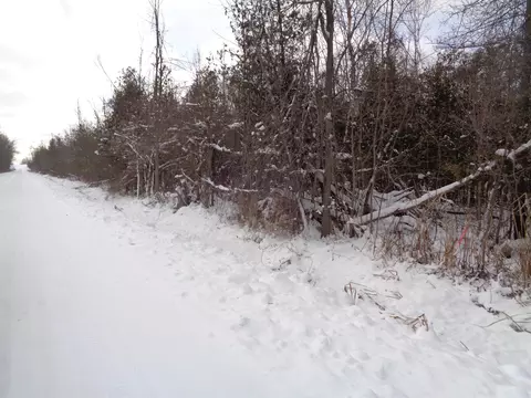 V/L 40AC Long Rapids Road #40 ACRES, Lachine, MI 49753 photo 8