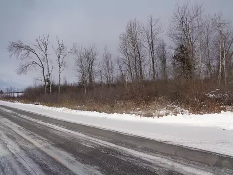 V/L 40AC Long Rapids Road #40 ACRES, Lachine, MI 49753 photo 11