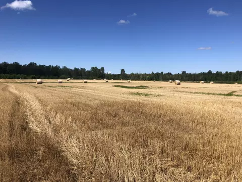 V/L 40AC Long Rapids Road #40 ACRES, Lachine, MI 49753 photo 3