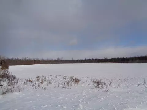 V/L 40AC Long Rapids Road #40 ACRES, Lachine, MI 49753 photo 9