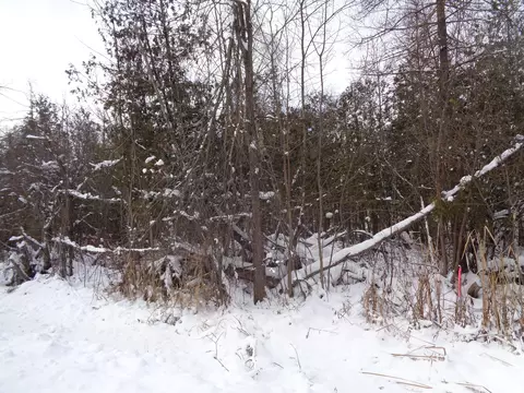 V/L 40AC Long Rapids Road #40 ACRES, Lachine, MI 49753 photo 12