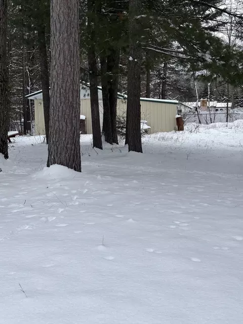 2472 Fawn Ct, Saint Helen, MI 48656