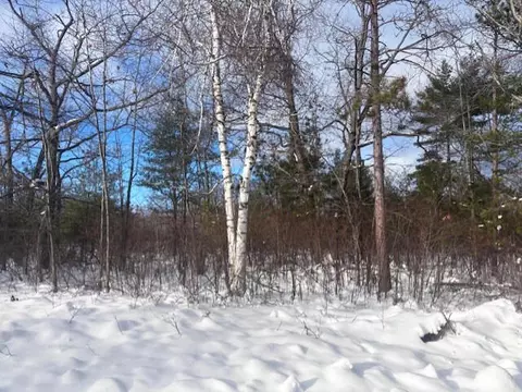 lot43 Ponderosa Cir, Presque Isle, MI 49777
