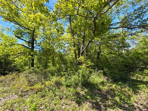 lot43 Ponderosa Cir, Presque Isle, MI 49777