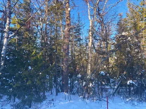 lot303 Gilmet Dr, Presque Isle, MI 49777
