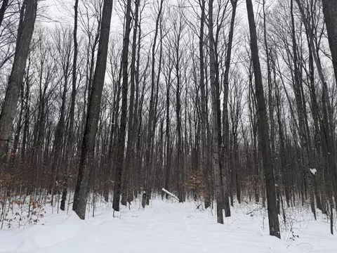 8633 Reynolds Rd, Traverse City, MI 49684