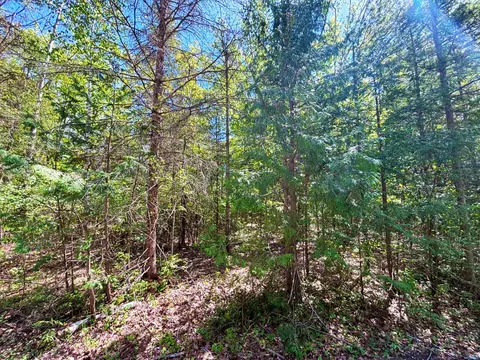 lot52 Belfair Dr, Presque Isle, MI 49777