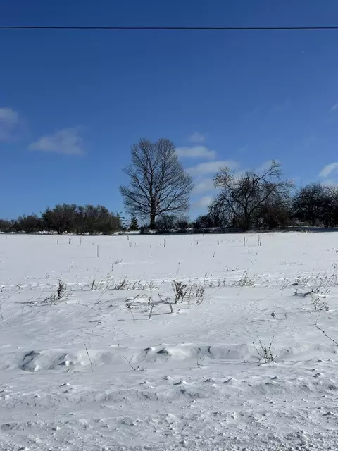 19 S 06 Acre S County Line Rd, Onaway, MI 49765