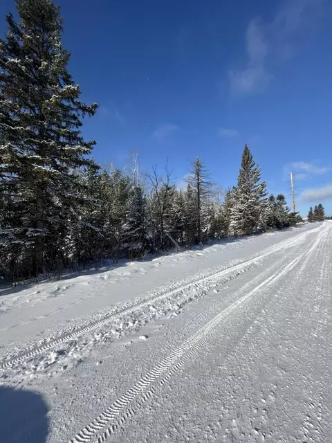 V/L 33.60A S County Line Road #33.60 ACRES, Onaway, MI 49765