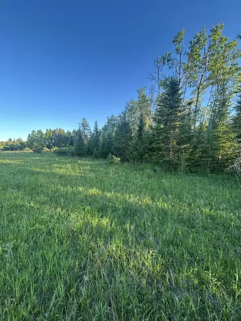 V/L 33.60A S County Line Road #33.60 ACRES, Onaway, MI 49765